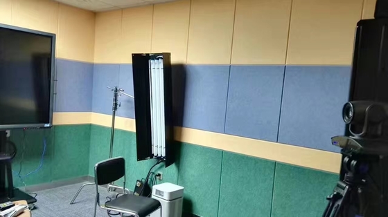 Les panneaux de mur acoustiques de bas de fonte de 40% polyester de fibre ignifugent les panneaux sains acoustiques